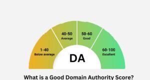 Good Authority Score Count and Inputs